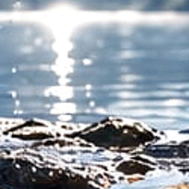 Sunlight scattering across the surface of clear mountain water